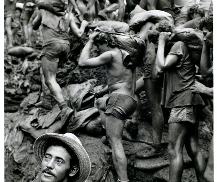 گالری آثار عکاسی سباستین سالگادو از برزیل