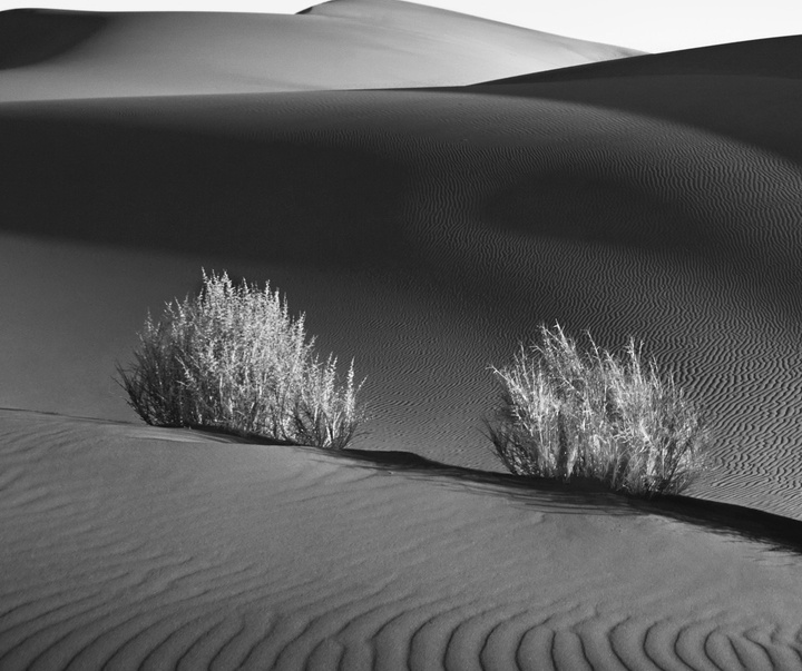 گالری عکس های دِرو داگت از آمریکا