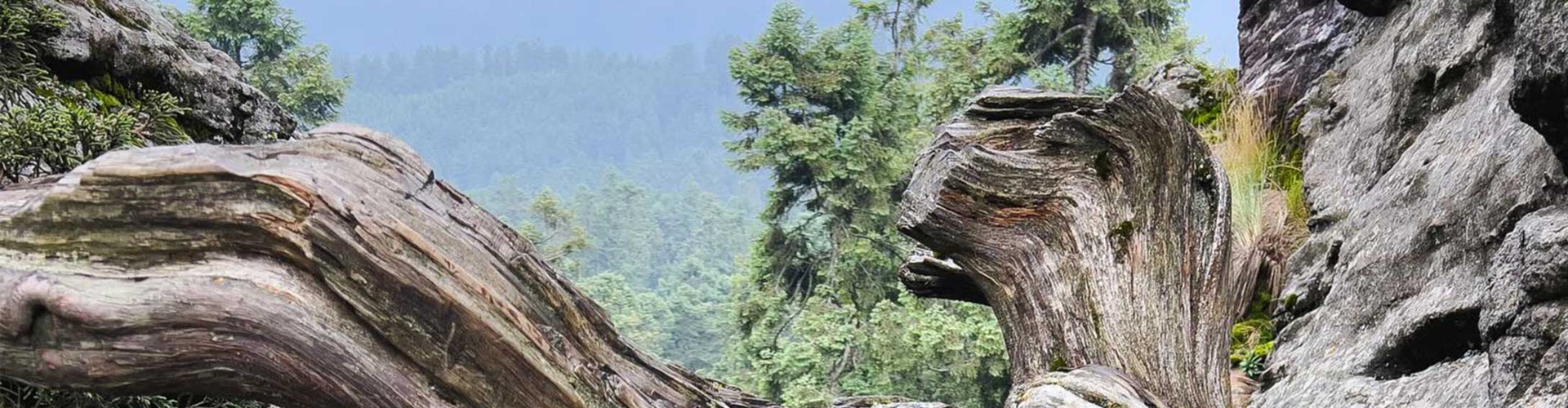 گالری آثار عکاسی اروین آندرس فریر اوکانا از مکزیک