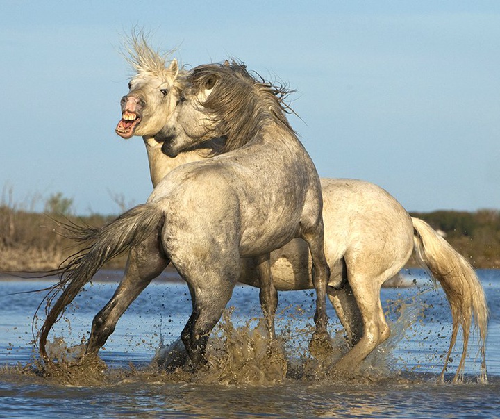 گالری آثار عکاسی جیم زاکرمن از برزیل - قسمت دوم