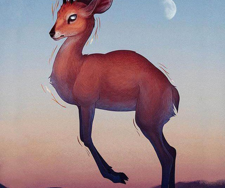 گالری آثار تصویرسازی جنا بارتون از آمریکا