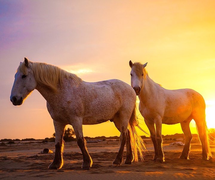 گالری آثار عکاسی جیم زاکرمن از برزیل - قسمت دوم