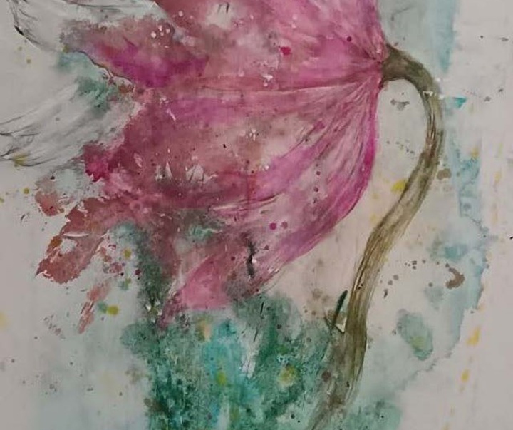 lale baktash