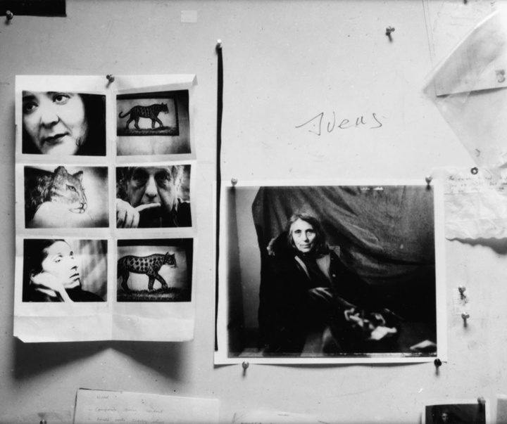 گالری عکس‌های رابرت فرانک از آمریکا