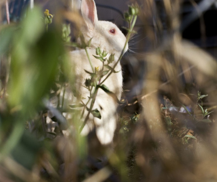 گالری آثار عکاسی گرگوری هالپرن از آمریکا
