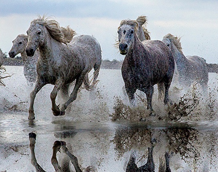 گالری آثار عکاسی جیم زاکرمن از برزیل - قسمت دوم