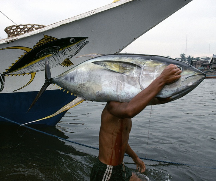 گالری آثار عکاسی برونو باربی از مراکش