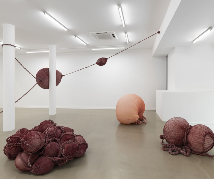 گالری آثر چیدمان و حجم اوا فابرگاس از اسپانیا