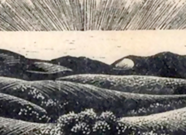 گالری آثار گرافیک کلر لیتون از آمریکا