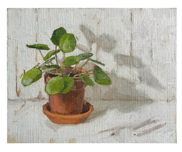 گالری نقاشی های فیونا کارور از انگلیس