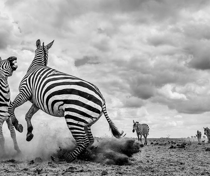 گالری عکس های جیمز لوین از انگلیس