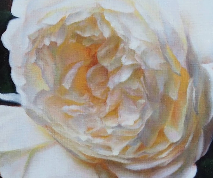 گالری نقاشی های استفانی راجرز از انگلیس