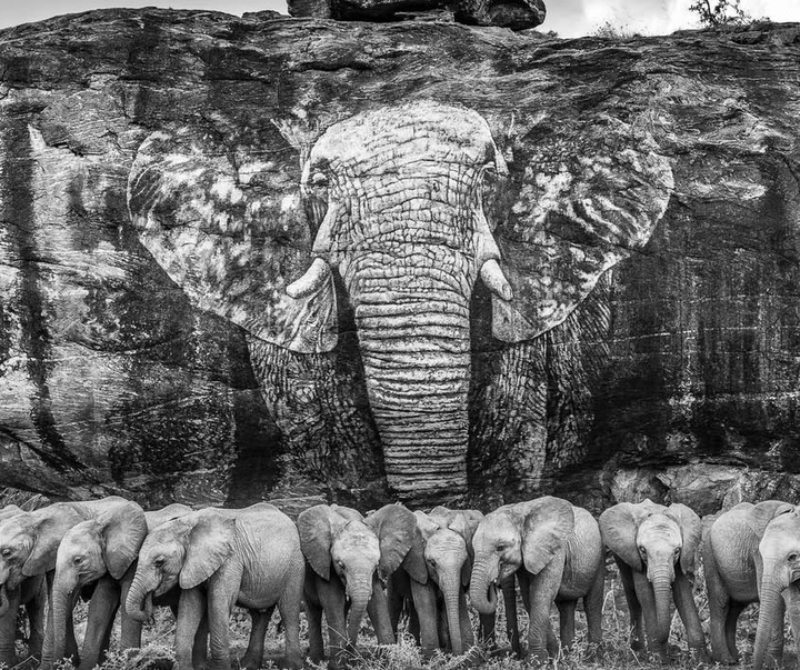 گالری عکس های جیمز لوین از انگلیس