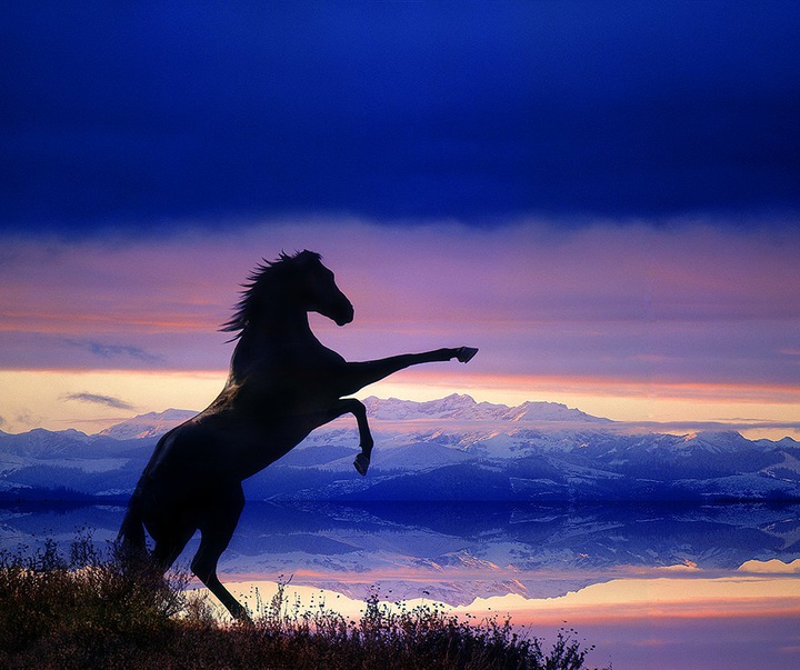 گالری آثار عکاسی جیم زاکرمن از برزیل - قسمت دوم