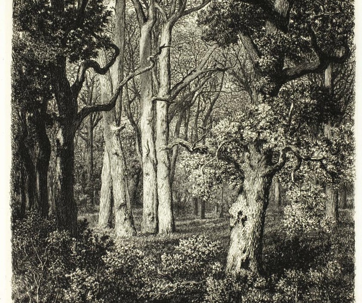 adolphe martial potemont