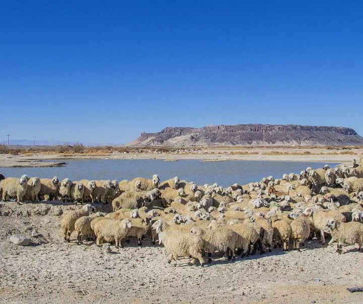 گالری عکس‌های آرزو صادقی از ایران