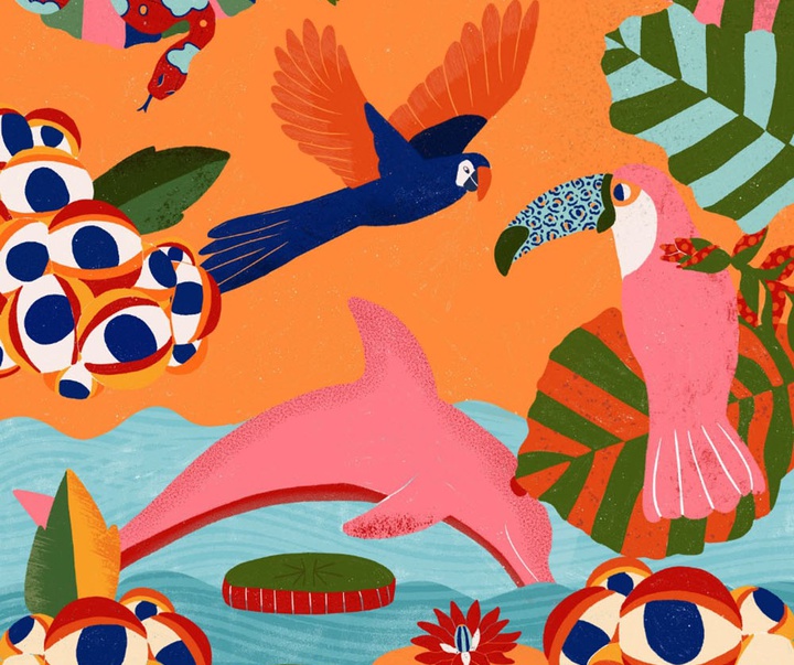 گالری تصویرسازی های باربارا دانتاس از برزیل