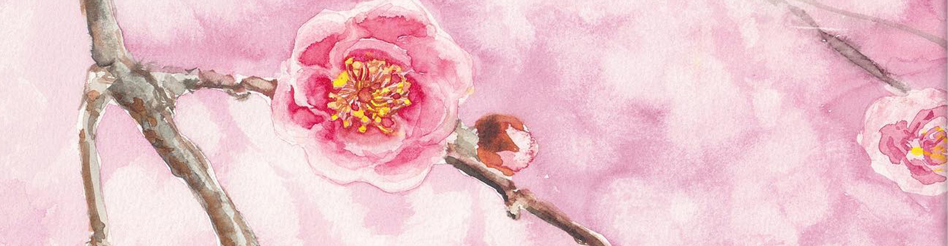 گالری نقاشی های امیلی لی از ژاپن