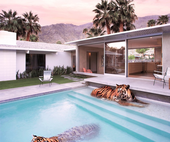 گالری آثار عکاسی پاول فوئنتس از بریتانیا