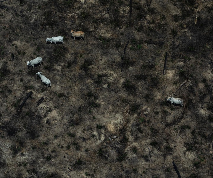 گالری آثار عکاسی ویکتور موریاما از برزیل