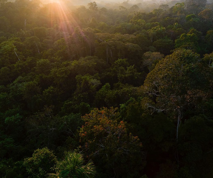 گالری آثار عکاسی ویکتور موریاما از برزیل