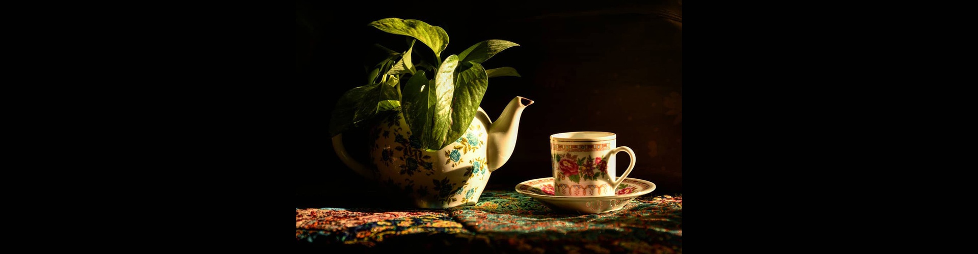 گالری عکسهای سمیه علیبیان از ایران
