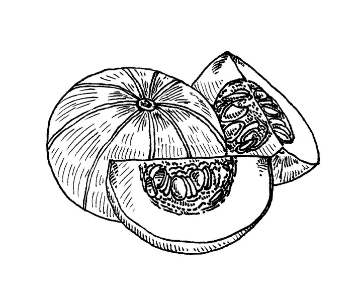 گالری آثار تصویرسازی نیکول بوستامانته از برزیل