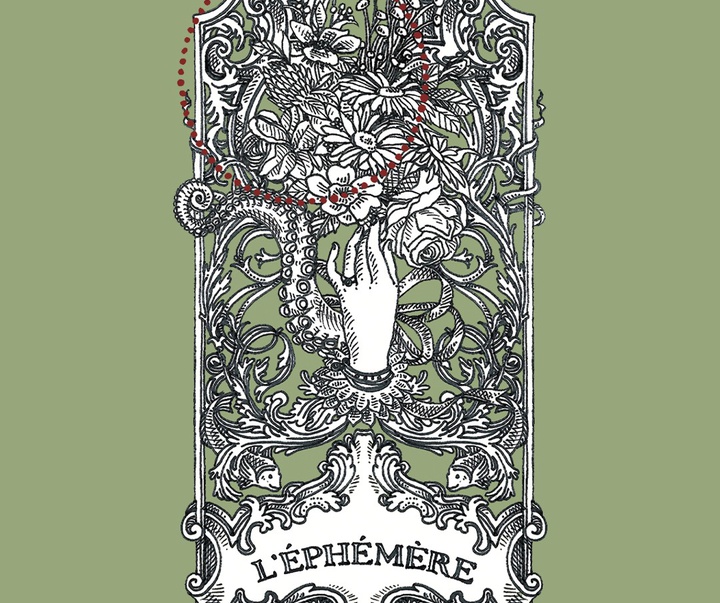 گالری آثار تصویرسازی نیکول بوستامانته از برزیل