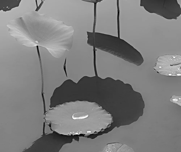گالری عکس های پاول جت از آمریکا