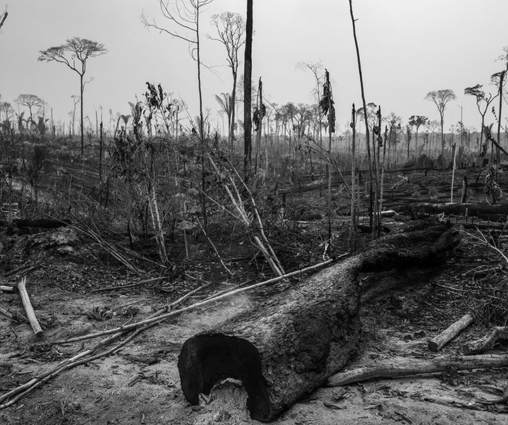 گالری آثار عکاسی لالو د آلمیدا از برزیل - قسمت دوم