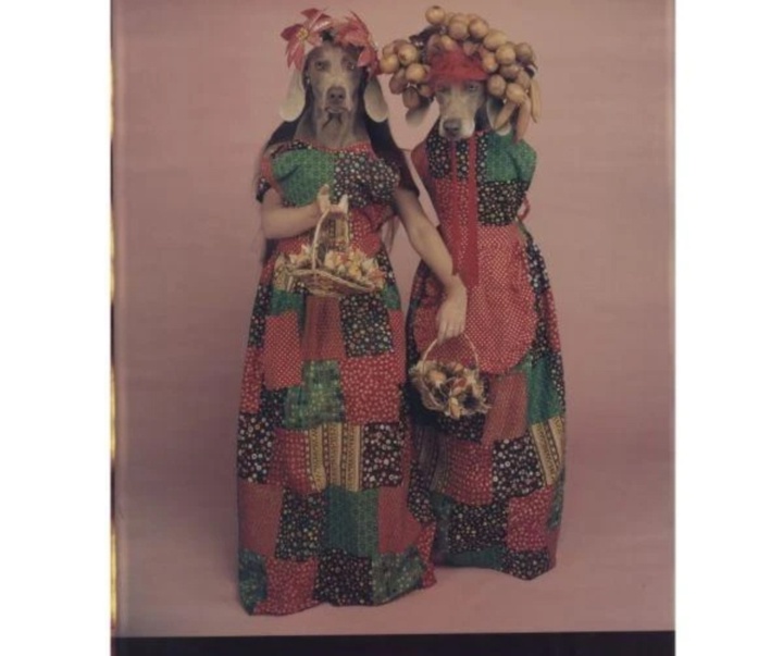 گالری عکس‌های ویلیام وگمن از آمریکا