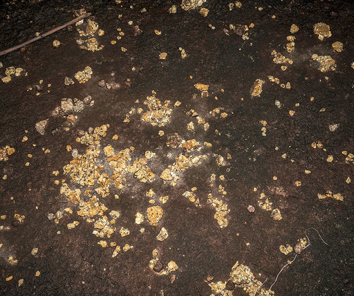 گالری آثار عکاسی خوانیتا اسکوبار از کلمبیا