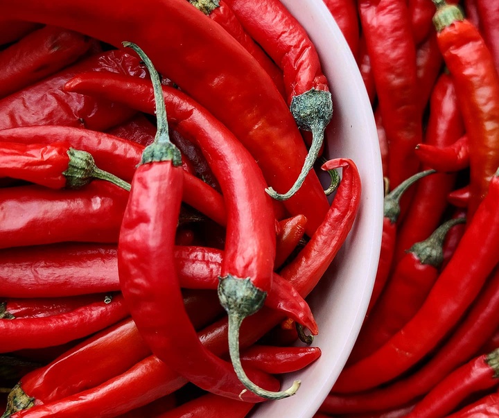 گالری عکس های آدا سلیمانی از ایران