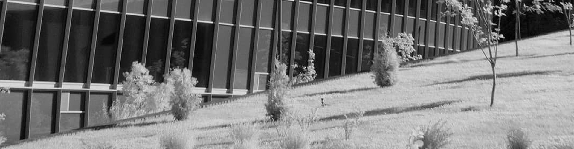 گالری آثار عکاسی فدریکو فورتینی از آرژانتین