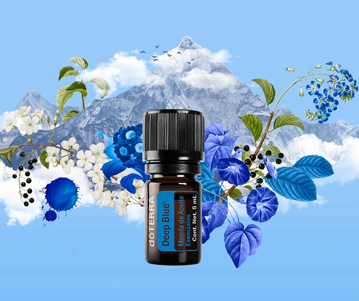 گالری تصویرسازی‌های گیرمو فلورس پاچکو از مکزیک