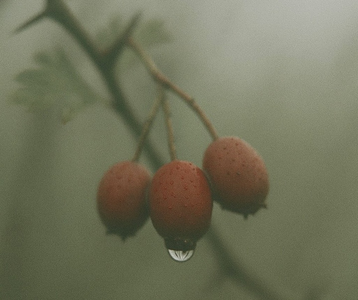 گالری عکس های ریچل برنن از فرانسه