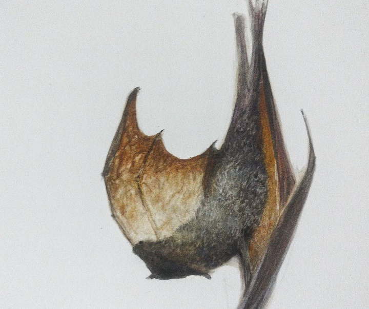 گالری نقاشی‌های لولا ماری از آرژانتین