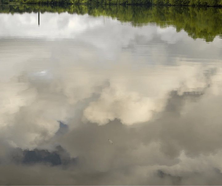 گالری عکس‌های ویلیام آبرانوویچ از آمریکا