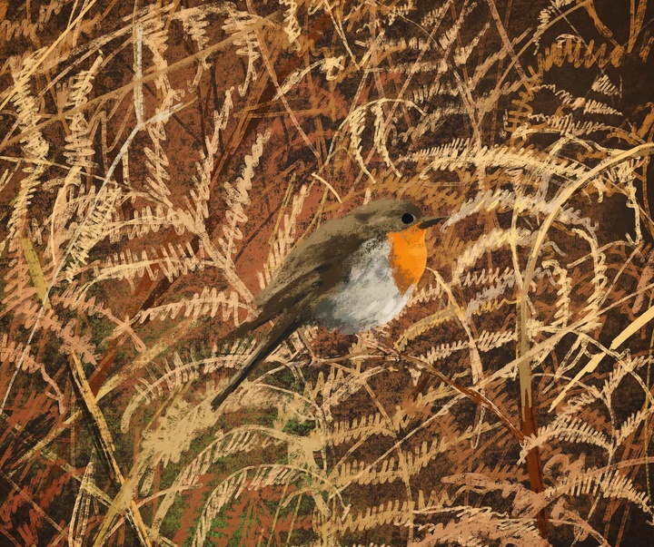 گالری تصویرسازی های جنی بلومفیلد از انگلیس