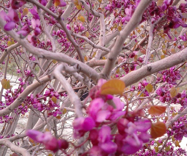 گالری آثار عکاسی زینب حسن یزدی از ایران