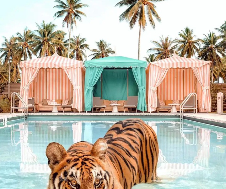 گالری آثار عکاسی پاول فوئنتس از بریتانیا