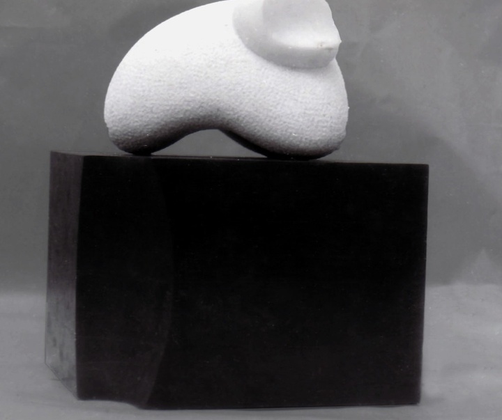 گالری آثار حجم و مجسمه مونتالوان کوئلار آندرس از کوبا