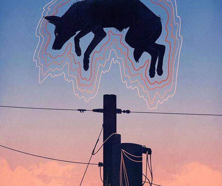 گالری آثار تصویرسازی جنا بارتون از آمریکا