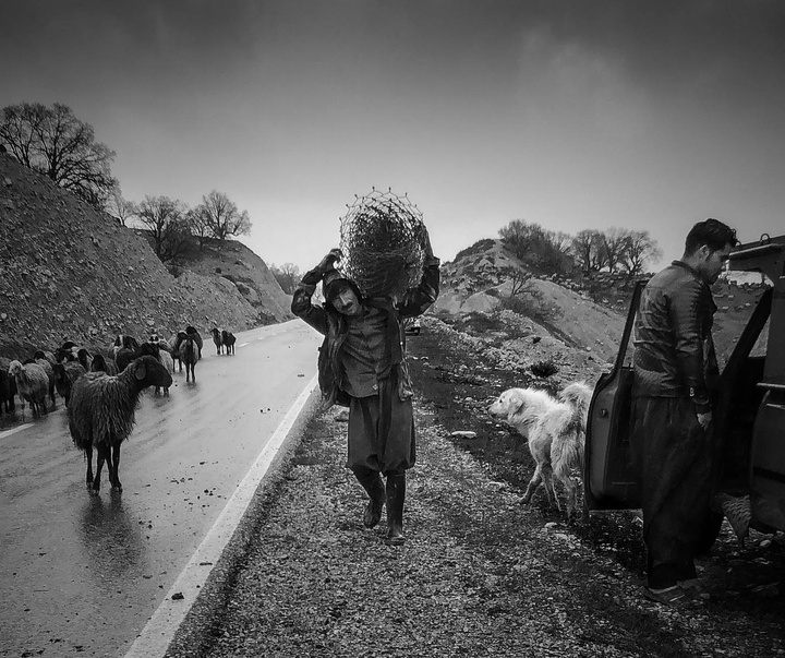 گالری عکس‌های نسترن فرجادپزشک از ایران