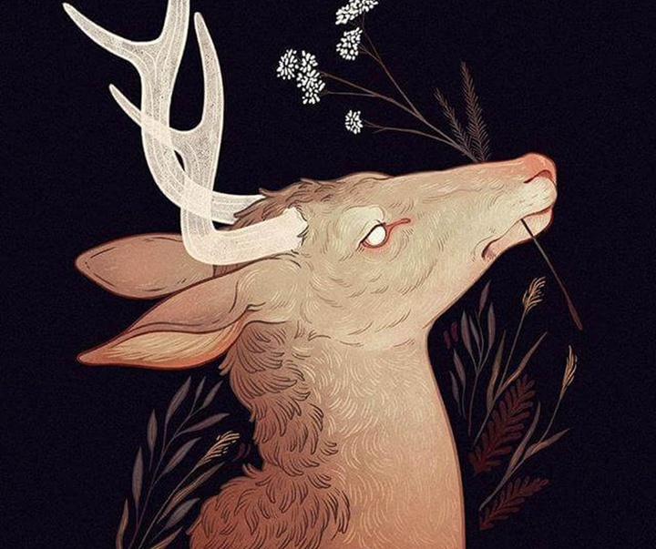 گالری آثار تصویرسازی جنا بارتون از آمریکا