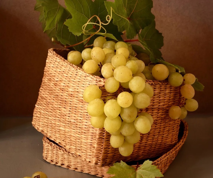 گالری عکس های خوزه ملادو از اسپانیا