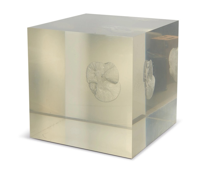 گالری آثار حجم آنیش کاپور از هند