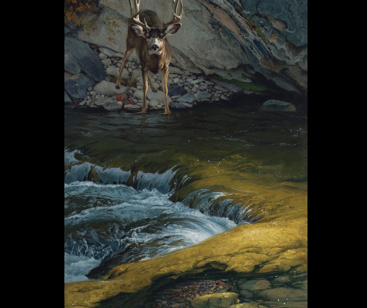 گالری نقاشی‌های گرِگ بیچم از آمریکا
