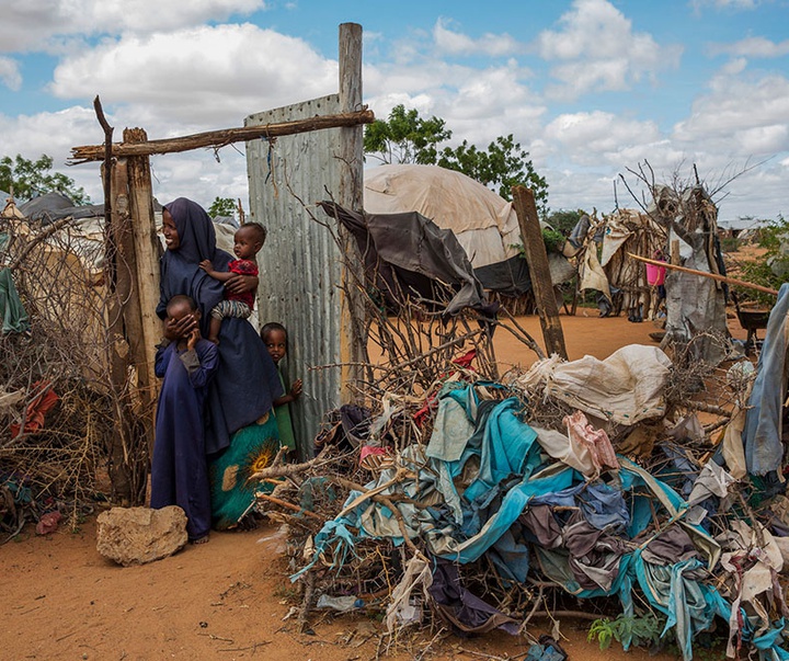 گالری آثار عکاسی لالو د آلمیدا از برزیل - قسمت دوم