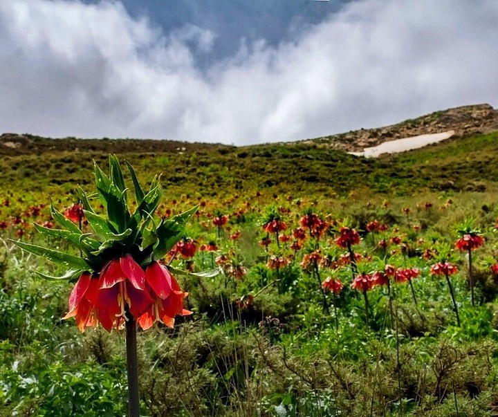 کالری آثار عکاسی  مهدی شیروانی از ایران